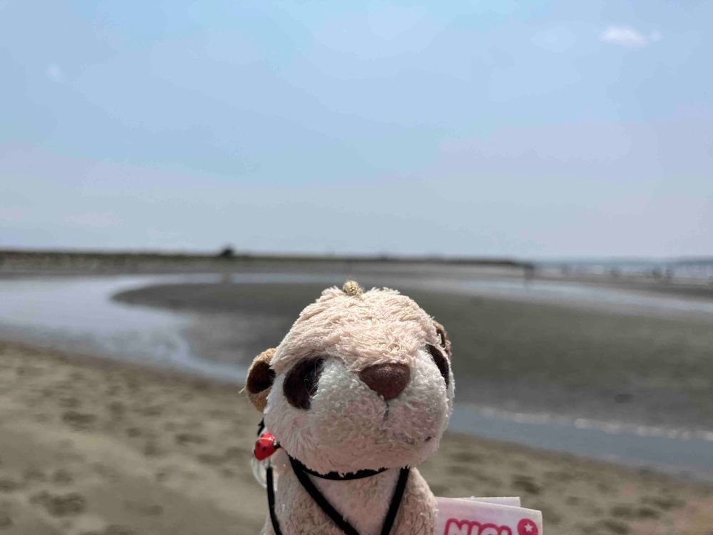 かさいりんかいこーえんきたよ！✨ピクミンちゃんもいっしょ💕
海ってきもちいいね🌊☺️