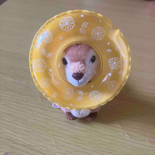 うきわのつかいかた、こうですか？