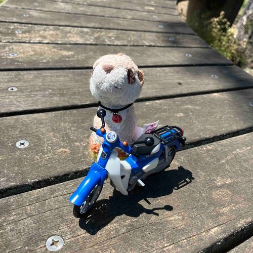 いい天気だね☀️ツーリング🚴日和だ✨　ブンブーン💨