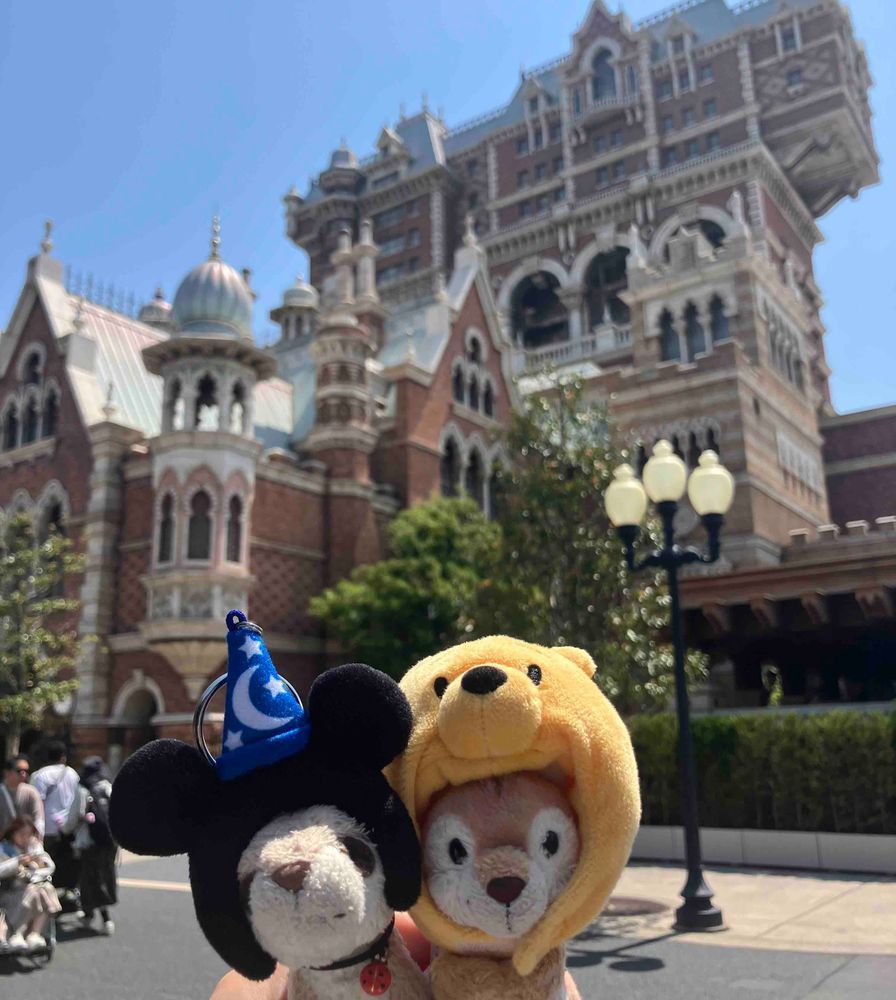 しまちゃんとディズニーシー行ってきたよ✨
タワーオブテラーにはじめてのったんだけどぼくムリ😭　しまちゃんは平気そうだった😳
あたらしいお友だちできたよ✨
ダッフィーくんとオルメルくん✨よろしくだね💕