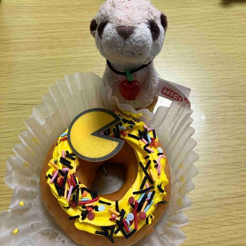 クリスピークリームドーナツ🍩でかわいい😍ドーナツ買っちゃった〜　ウキウキ❗️