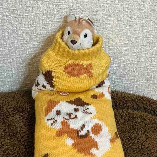 ニンゲンがかわいいくつした買ってたです。
もちろん没収です。