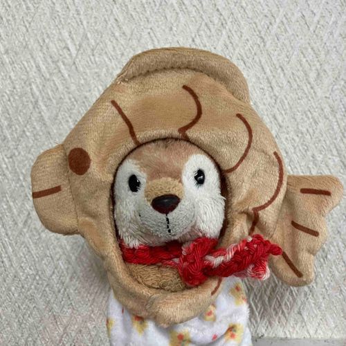ヒトに「さむい」といったら
こんなかっこなりました
・・・まあいっか