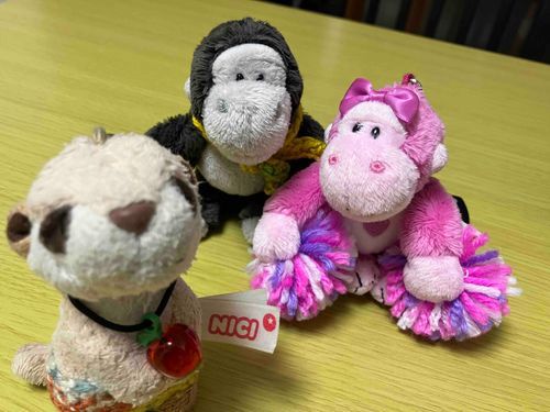 プラザってとこ行ったらね、ピンクのゴリラちゃんいて🦍🩷
ぼくんちに元々ゴリラくんいるから勝手にゴリラくんのかのじょってことにしてお家にきたよ！笑
(ごめんねゴリラくん😛)
ぼくはキューピット💓👼✨