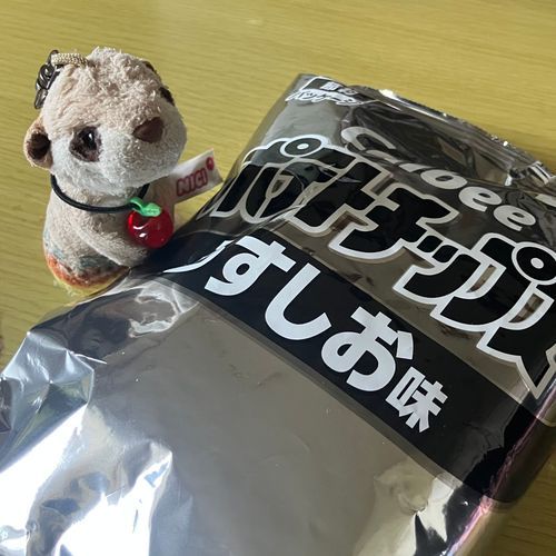 メタリック✨なポテチみつけた！
キラキラ〜