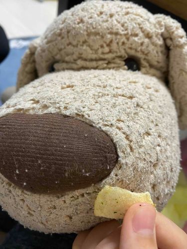 ポテチ食べる
うますぎ