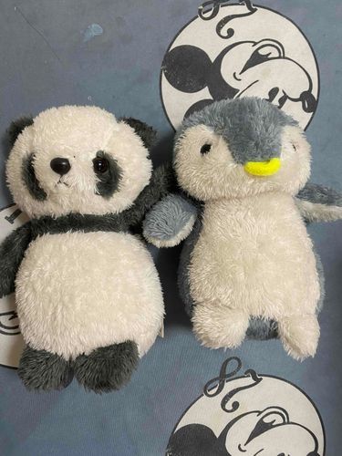 コペンのお友達のコパン