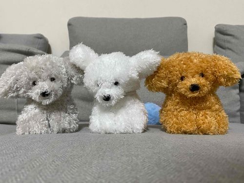 僕のお友達の3兄弟！
僕、仲良くできるかな？でもがんばります。
お名前は
灰色の子がぞうさんと
白い子はごろう
茶色い子がちゃろう
かわいいと思ったらいいねよろしくお願いします。

