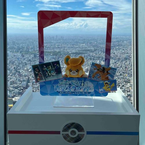 パモは高いところ へいき