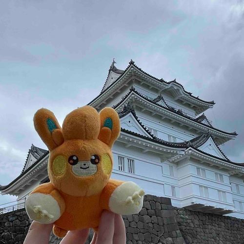 小田原城 いったね