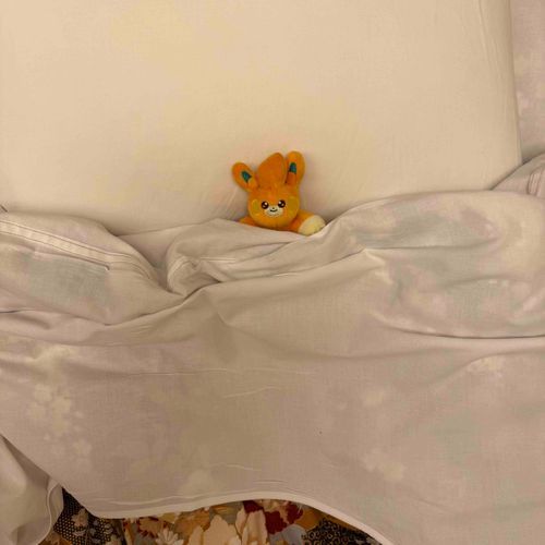 パモの おふとん！