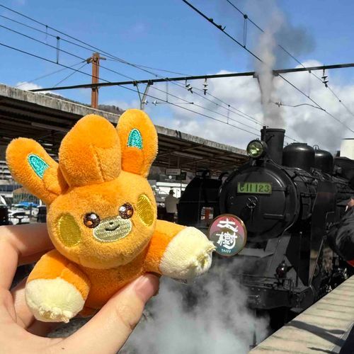 汽車だ！