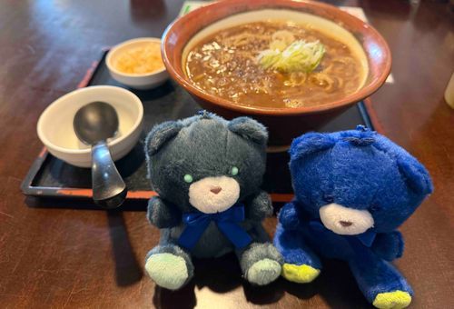 お昼にカレーそば。おいしかったね
