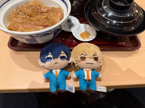 鯛ごま茶漬け、鯛茶漬けってだけで美味しいし、胡麻も甘くて美味しい！幸せ(  ´˘`  )