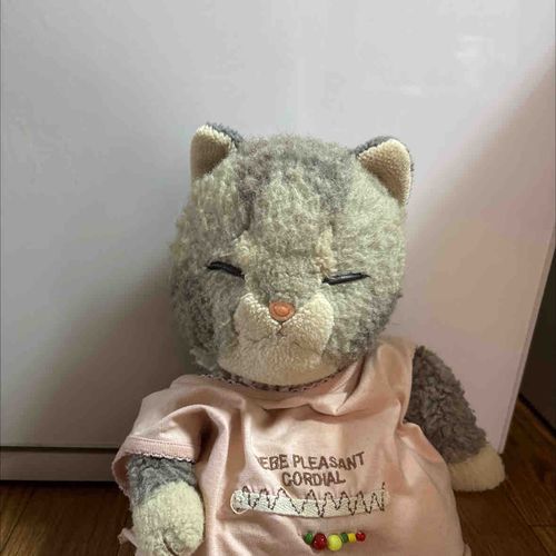 ママのおさがりのぬいぐるみだよー🧸
