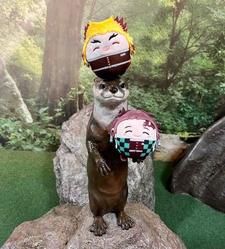 カワウソさんと友達になったよ🤝