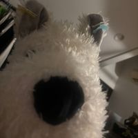 ベンティ