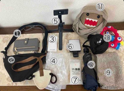 ぬい撮りに便利なグッズあったら教えてな😆　僕のご主人が持っている小道具はこれだぜ。

①スマホ(ぬい撮りの為に最近ショルダータイプにしたらしい)
②僕が移動用のバッグとハーネス(迷子防止)
③充電バッテリー
④僕が被る用の雨避け&飲食店での
匂い・汚れ防止のビニール袋
⑤自撮り棒&三脚(あまり使わない)
⑥撮影用の照明(あまり使わない)
⑦出先で僕を触る時は必ず除菌シートを使っている笑
⑧僕とご主人の日焼け防止
⑨僕がご主人の鞄の中にいる時に
下に敷いているタオル
⑩撮影用小物
⑪紫外線防止の布

