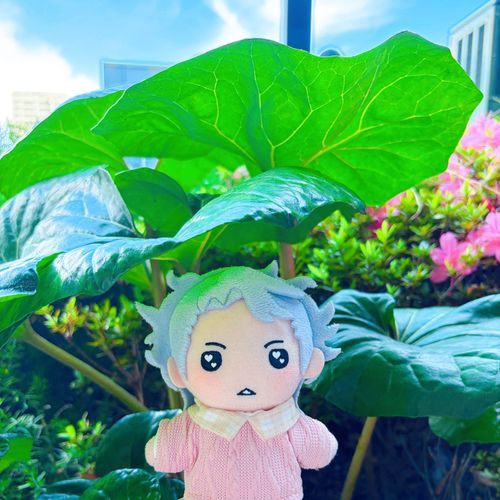 風が気持ちよかったな