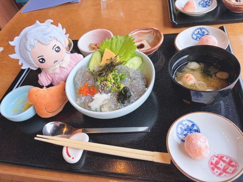 ふぅん、生しらす丼ね☺️