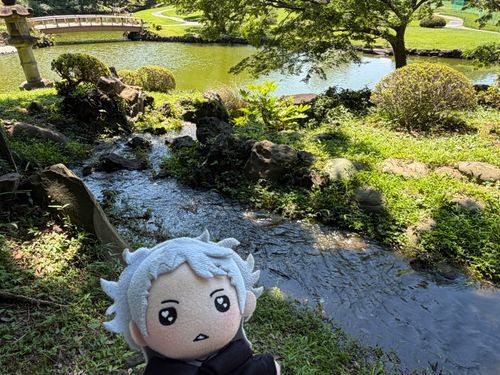 水が流れてるだけで涼しいんだよな