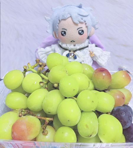 おいしい🍇がてんこ盛り