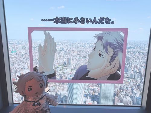 た、高い……🫨