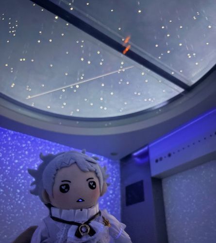 60階まであっという間なんだな…

🌟金曜日の写真