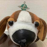 ブラウニー🍀