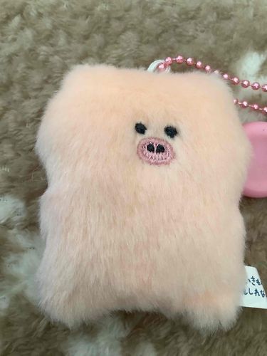 アウィーに続いて「生き物かもしれない」のそこそこぶたくん！仲良くしてあげてね。🐖🐷🐽