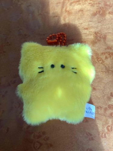 またまた「生き物かもしれない」のシリーズのきねこちゃんだよ！🐱