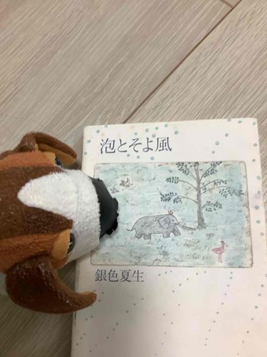 物置を整理していたらこんな本を見つけました、、。