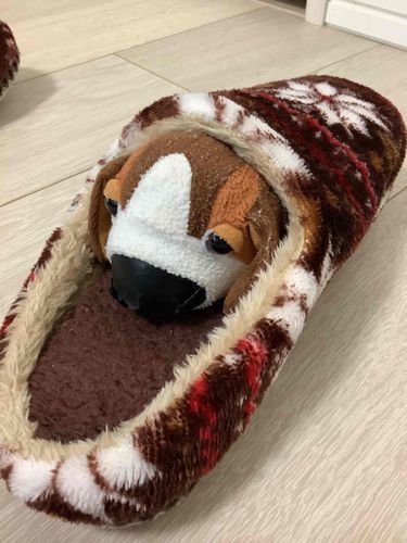 前に買った冬用のスリッパ(ブラウン)を履こうとしたらその前にぶらーにちゃんが入っていました😂🥰
(家主は僕のことをぶらーにちゃんって呼んでる)