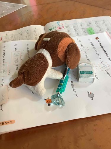 漢字ドリルを買って小さい頃習った漢字を復習🐶✏️📖