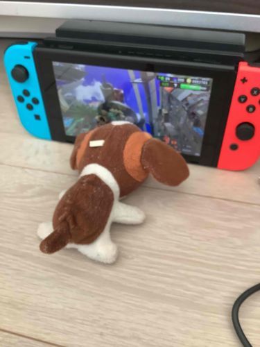 ニンテンドーをやるブラウニーくん👀