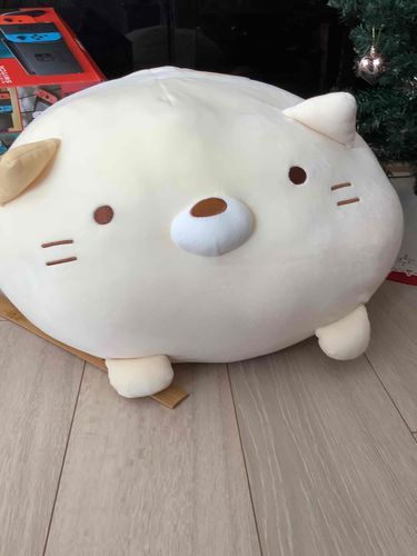 猫の鼻がまるでちょこまんじゅう👁👄👁