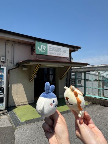 ぴょん