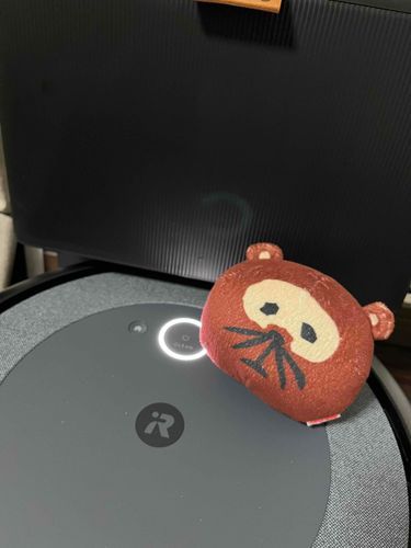 本日の新入り
二代目ルンさん