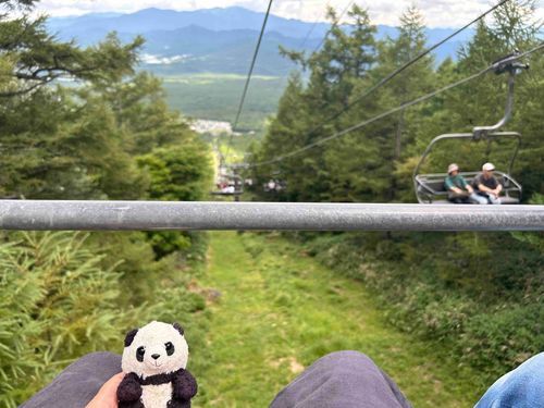 この前山の上に行った時の写真だよ〜