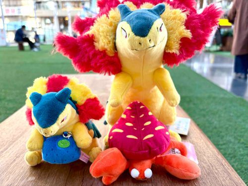 右の二匹は今日からうちの子です🫶