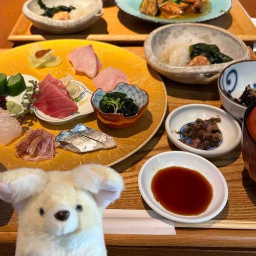 ハスイモ好き