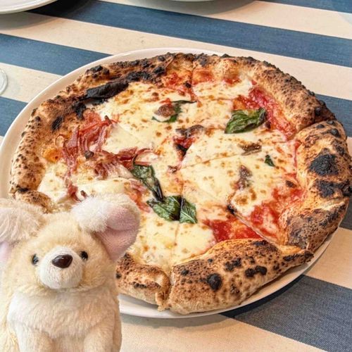 🍕
