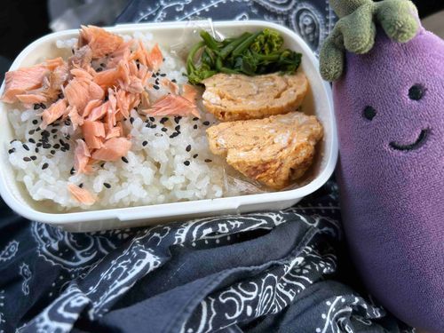 あるじが作ったお弁当。おいしそうなす〜。