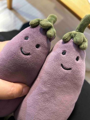 あえたね きょうだい