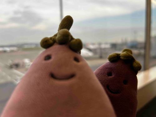 あにきに じゃまされた