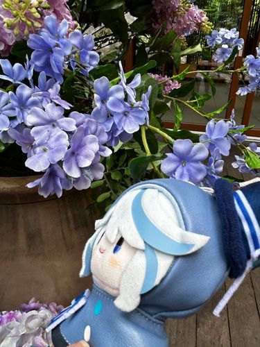 フリーナとお花