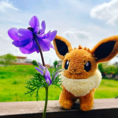 幸せのアネモネ？🍀




イーブイ「ぶいぶい〜？(みて！葉っぱにもお花があるよ？)」


たまに突然変異でこうなるらしいよ！
初めて見たけど羽根みたいでかわいいね〜(´-`*)🪽″

やっと週末〜

(なんか今週はやたら長く感じたなあ)

外、いい天気です_(:3｣∠)_

この週末は休み倒したい管理人です。笑
