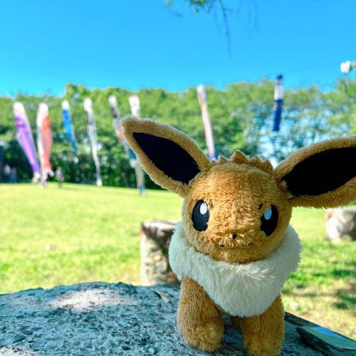 ５月の空に🎏




イーブイ｢ぶいぶい〜♡(こいのぼりいっぱい〜♡)｣

あげるの遅くてすっかり過ぎてしまいましたがこどもの日に公園にこいのぼりが泳いでました〜🎏⋆｡*
爽やかな気持ちになるよね〜！