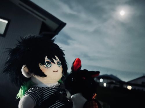 🌕🐰🎑十五夜のお月様🎑🐰🌕




さっちゃん｢今夜は十五夜っすね！🎑

ということで、くろまめちゃん🐰と一緒にお月見しに外へ!!🌕˖⁺

少し曇り空だったけど、ちゃんとお月様見られたっす♪⸜(*ˊᵕˋ*)⸝‬｣