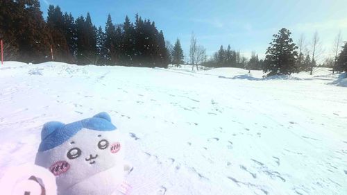 冬だね❄️
